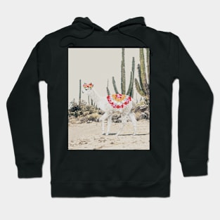 Alpaca with flowers Boho art Hoodie